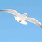 image.731973457626.loresL