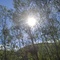 Atardecer en los bosques de Urdax