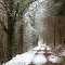 Chemin enneigé