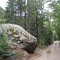 State Forrest State Park
