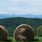 Les meules et les Pyrénées