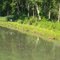 Berges du Canal, 24.06.2010