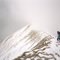Froid, neige et brouillard sur Chaurionde  20.11.1993