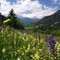 Image de Haute Maurienne