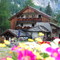 Chalet de montagne