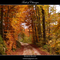 Trail of Changes