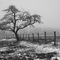 St geoire en Valdaine