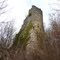 Ruines du Château de Mauchamps à Saint-Maurice de Rotherens 12.02.2011