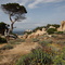 Corsican Landscape