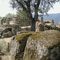 Filitosa: Menhir