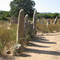 Alignements de Paddaghiu   -   Corse