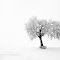 The world of the ghosts http://www.wix.com/perring/gregperrinphotography