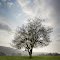 Entre ciel et terre http://www.gregperrinphoto.com/