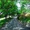 Petite route à Appregnin