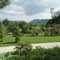 Geneviève's garden