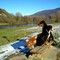 bords de la bienne
