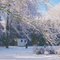Winter In Connecticut