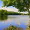 Hopeville Pond SP #1