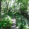 Trail to Road