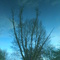 Reflet de l'étang