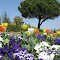 Massif Floral
