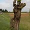 Hitch-hiking back to the market. Dedicated to Tim Burton.