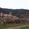 Chapelle