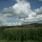vichy @titof