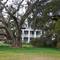 old plantation