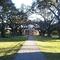Unforgettable Oak Alley Plantation - 2000