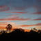Red over moss bluff