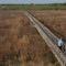 Boardwalk through the marsh at Ocklawaha Prairie Restoration Area