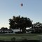 Morning Flight