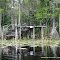 Ocklawaha River South of Moss Bluff