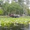 Ocklawaha River South of Moss Bluff