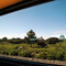 TGV view in Provence 2