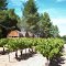 De la vigne au tonneau