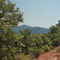 Provence / Alpes-Côte d'Azur /  Bois de Bagnols
