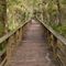 Part of the birding trail at Russell Landing in Bunnell, FL