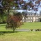 Route de Pexiora, Château des Cheminières.