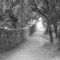 path to the Abbey Notre-Dame de Ganagobie