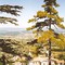 Somewhere in Provence