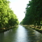 Canal du Midi, en direction d'Homps