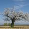 entre ciel et terre
