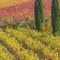 Autumn Colors