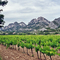 Provence / Alpes Côte d'Azur / les Alpilles / Domaine de la Vallongue