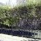 jardin003