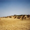 Port Camargue