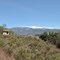 Le Ventoux près de Mormoiron