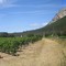 Panoramique : Pic Saint-Loup - Montagne de l'Hortus